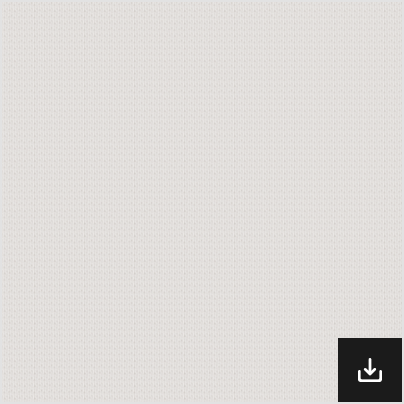 CS-00017.png