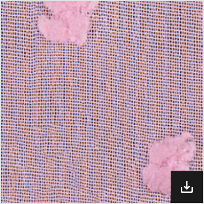 CS-00033.png